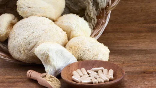 Lion's mane och varför så många pratar om den