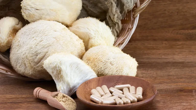 Lion's mane och varför så många pratar om den